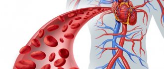 autoimmune anemia