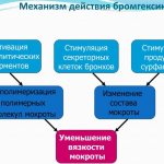 Bromhexine tablets for children, adults. Instructions for use, price 