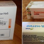 Budesonide for inhalation: instructions for use. Reviews, analogues 