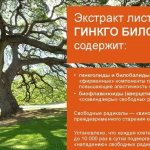 Что содержится