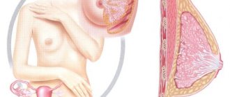 Cyclodinone and alcohol: compatibility, how long it takes, consequences