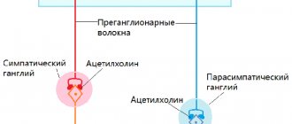 ЦНС