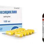 Doxycycline: instructions for use