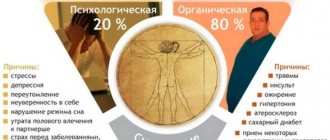 Эректильная дисфункция (импотенция). Препараты для лечения, причины у мужчин