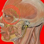 Если болит голова и давит на глаза: ЧТО делать