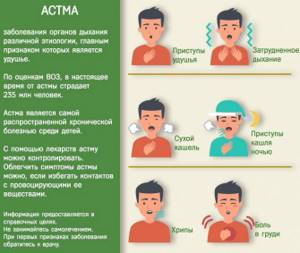 Факты об астме
