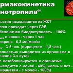 Pharmacokinetics of Phenotropil