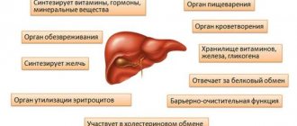 liver functions