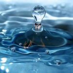 Interesting facts about the human kidney