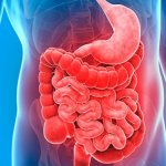 How to take Hilak Forte with antibiotics