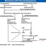 How does Dipyridamole work?