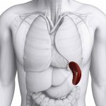 What does it look like