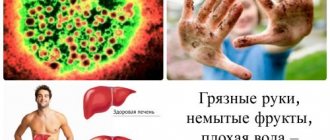 What could be the factors for the transmission of hepatitis A and B?