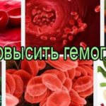 Какие продукты гемоглобин в крови повышают