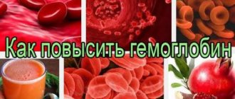 Какие продукты гемоглобин в крови повышают