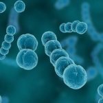 Кандидозный баланопостит у мужчин. Лечение