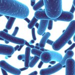 Кишечная инфекция