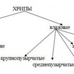 Классификация хрипов