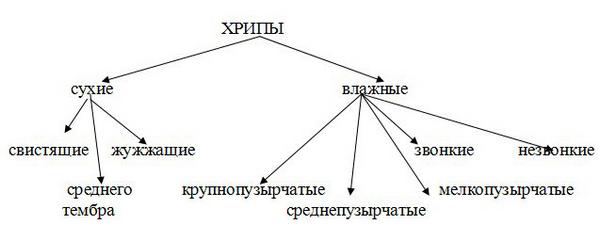 Кашель с хрипами у взрослого лечение народными средствами Кашель с хрипами у взрослого лечение народными средствами thumbnail