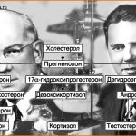 cortisol story of Kendall and Hench