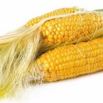 Кукуруза