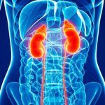 small parenchymal cyst of the left kidney