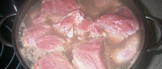 Мясной бульон
