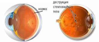 норма и патология