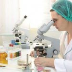 Normal amount of estradiol