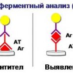 Общие представления