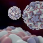 acute rhinitis in infants: symptoms and treatment