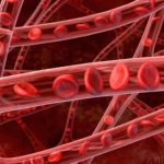 Pathogenesis of traumatic shock: etiology, classification, phases, severity and treatment