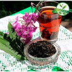 пьем иван чай