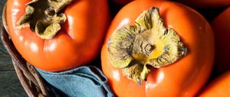 nutrition for varicose veins