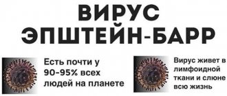 Почему иммунитет не нужно укреплять и вообще трогать: 4 мифа, в которые, увы, все верят