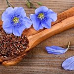 Полезные свойства семян льна для здоровья. Как готовить, употреблять семя льна