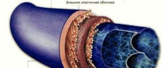 Superficial veins of the upper/lower limb. Diagram, anatomy, location