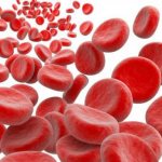 Increased hemoglobin - causes and treatment in women, men and children