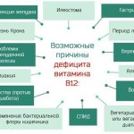 Причины дефицита витамина В12