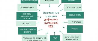 Причины дефицита витамина В12