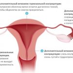 Противозачаточные таблетки и лучшие средства, чтобы не забеременеть. Какие есть, названия, инструкция применения