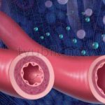 Расширение кровеносных сосудов