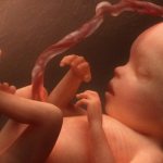 Ребёнок в утробе: фетоплацентарная недостаточность