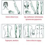 точки массажа