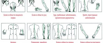 massage points