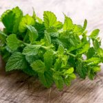 Herbs for menopause