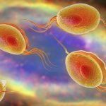Trichomonas