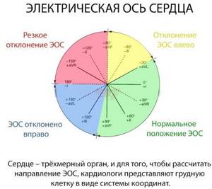 Угол альфа (α, ЭОС, электрическая ось сердца) на ЭКГ. Норма у взрослых, детей, как определить