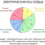 Angle alpha (α, EOS, electrical axis of the heart) on the ECG. Normal in adults, children, how to determine 