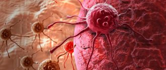 B-cell lymphoma virus